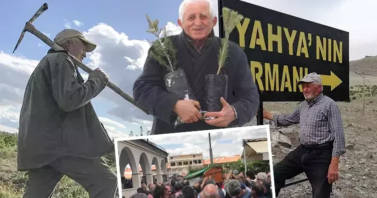 Film gibi hayatının arkasında acıklı bir hikaye vardı... Rahim Dede, elleriyle kurduğu ormana defnedildi