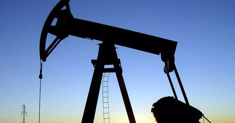 2023 te en çok tüketilen enerji kaynağı belli oldu!