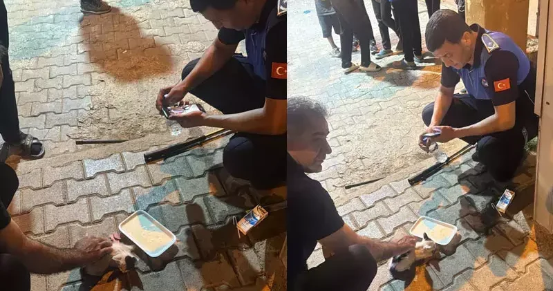 Reklam panosunda mahsur kalan yavru kediyi zabıta ekipleri kurtardı