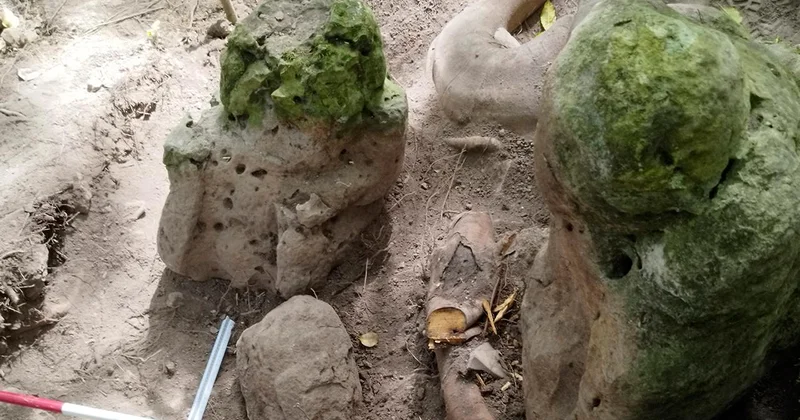 Guatemala’da 3 bin yıllık Maya kenti kalıntıları ortaya çıkarıldı