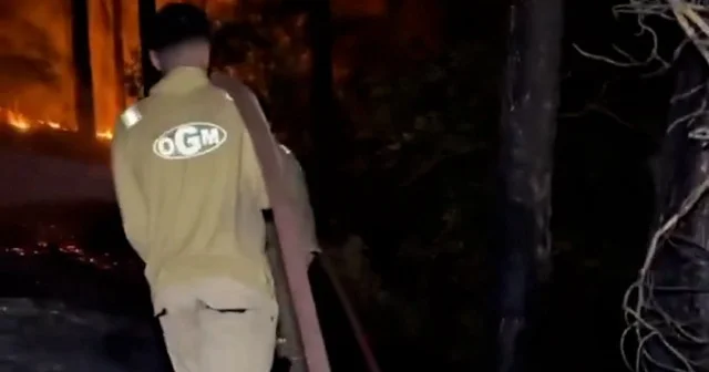 Yeşil Vatan için canla başla: Ormanın Kahramanları alevlere karşı nöbette VİDEO İZLE