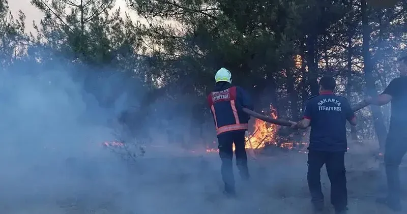 Sakarya daki orman yangınında soğutma çalışmaları sürüyor