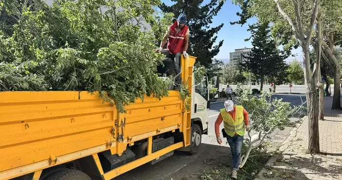 Kahramanmaraş ta fırtına hayatı olumsuz etkiledi! Rüzgarın hızı saatte 112 kilometreyi aştı