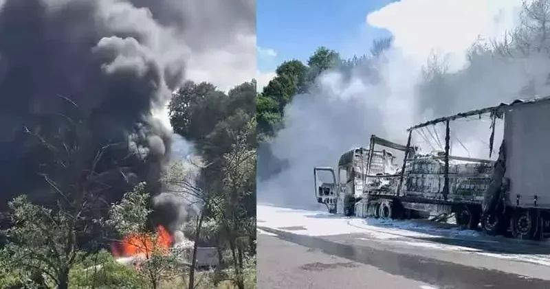 TIR daki yangın ormana sıçradı; 10 dönüm alan zarar gördü