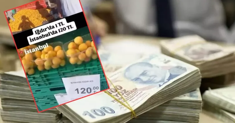 Yalanı ortaya çıktı, cezada kurtulamadı! CHP li eski adaya kötü haber