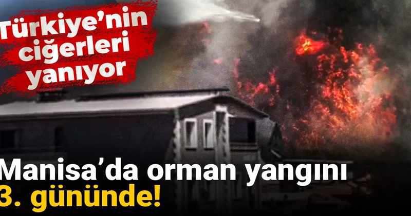 Manisa’da orman yangını 3. gününde! Türkiye’nin ciğerleri yanıyor