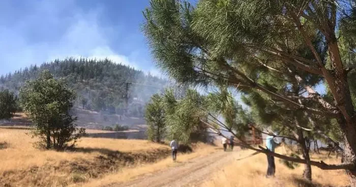Kahramanmaraş’ta orman yangını