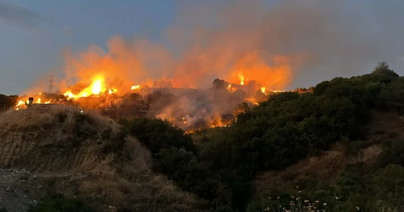 Manisa da tarım arazisinde çıkan yangın ormanı da yaktı