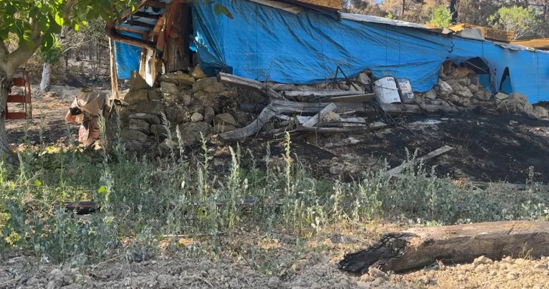 Yangın tarlaları küle çevirdi: Çiftçi yaşadıklarını anlattı