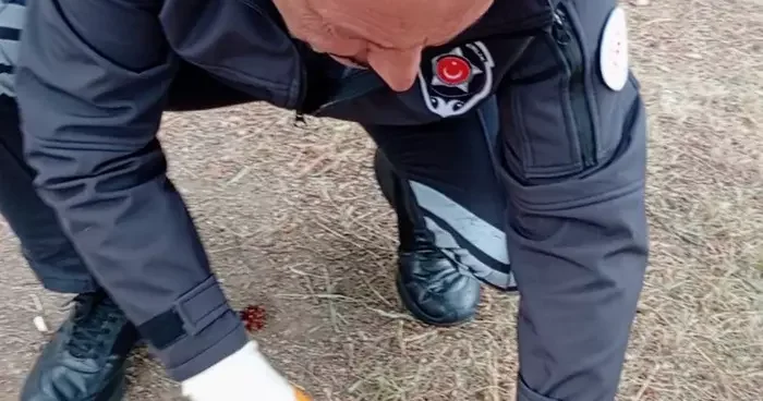 Yozgat ta kafası konserve kutusuna sıkışan kediyi güvenlik görevlisi kurtardı