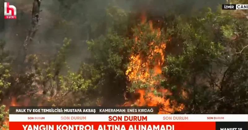 Halk TV Seferihisar da alevlerin ortasından yayın yaptı! Anbean böyle müdahale edildi