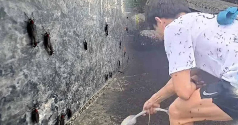 Yeni bir kriz sessizce şehri sardı… Havaya bakmadan yürümek imkânsız! Sözcü Gazetesi