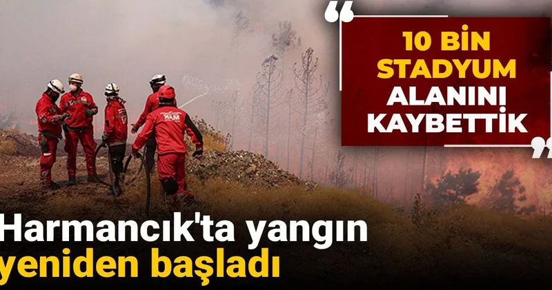 Son Dakika Harmancık ta yangın yeniden başladı