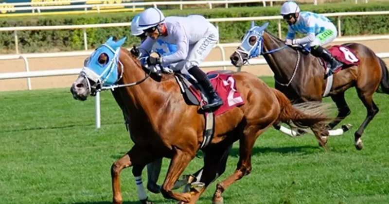 Türkiye Bedensel Engelliler Spor Federasyonu Koşusu’nu The King Siayer kazandı Spor Haberleri