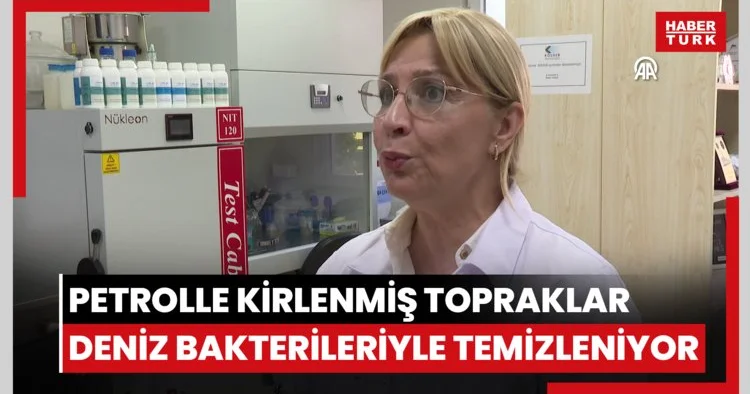 Petrolle kirlenmiş topraklar deniz bakterileriyle temizleniyor