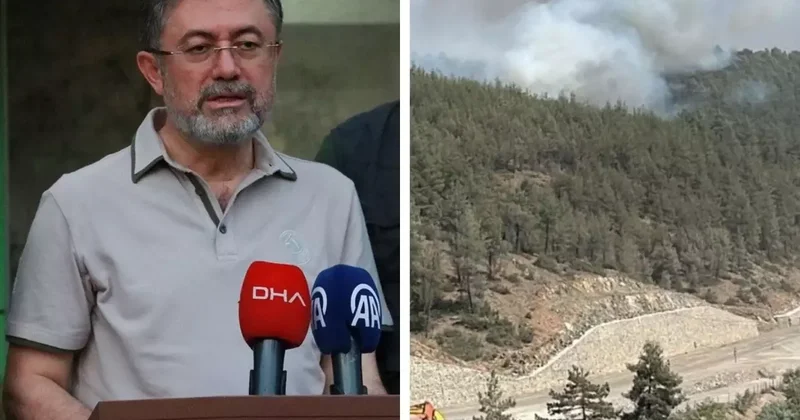 Yeniden başlayan yangına jet müdahale! Kontrol altına alındı