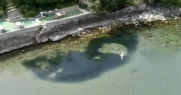 Sinop’ta deniz suyu aniden soğudu! Balıklar kıyıya vurdu