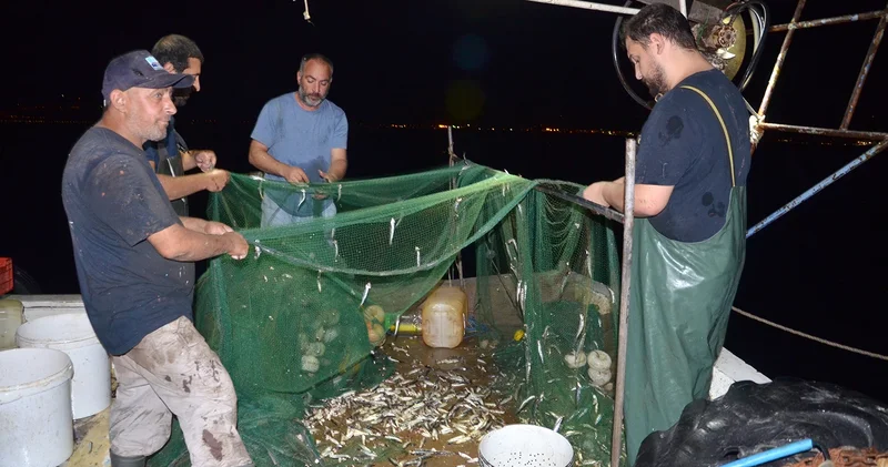 Kocaeli Ereğli Balık Hali nde balık mezatı hareketliliği sürüyor
