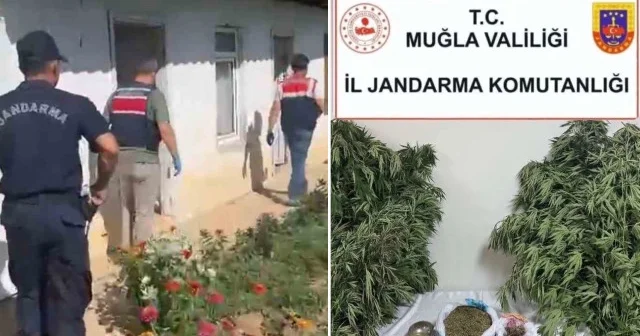 Uyuşturucu madde üreten zahir taciri yakalandı Muğla Haberleri