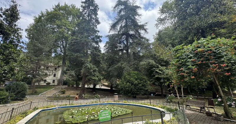 Türkiye nin ilk arboretumu 66 tür ağaca ev sahipliği yapıyor