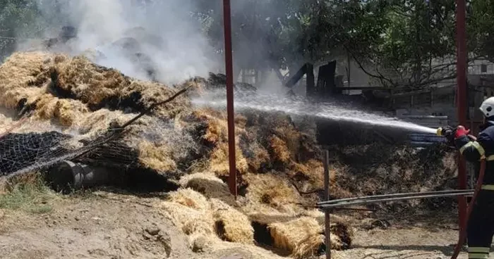 Burdur da çıkan yangında 250 saman balyası kül oldu