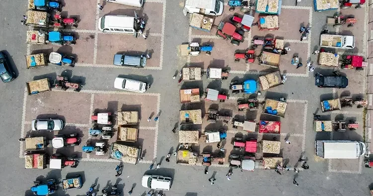 Namı tüm dünyaya yayıldı: AB coğrafi işaret tescili var! Tarladan toplayıp ilçede satıyorlar