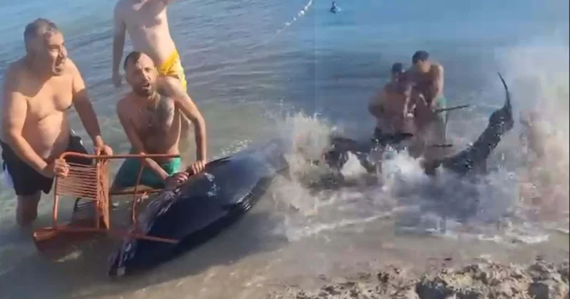 Servet değerinde balık yakaladıklarını sandılar, neye uğradıklarını şaşırdılar Sözcü Gazetesi
