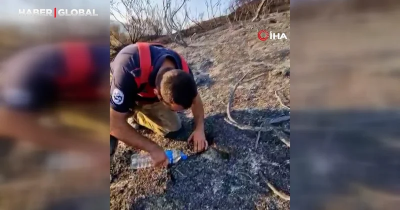 İtfaiyeciden, alevler içinde mahsur kalan kaplumbağaya can suyu