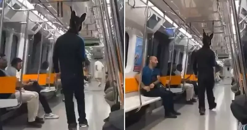 Sarıyer de metroda elinde tüfekle gezen tavşan kostümlü kişi gözaltına alındı