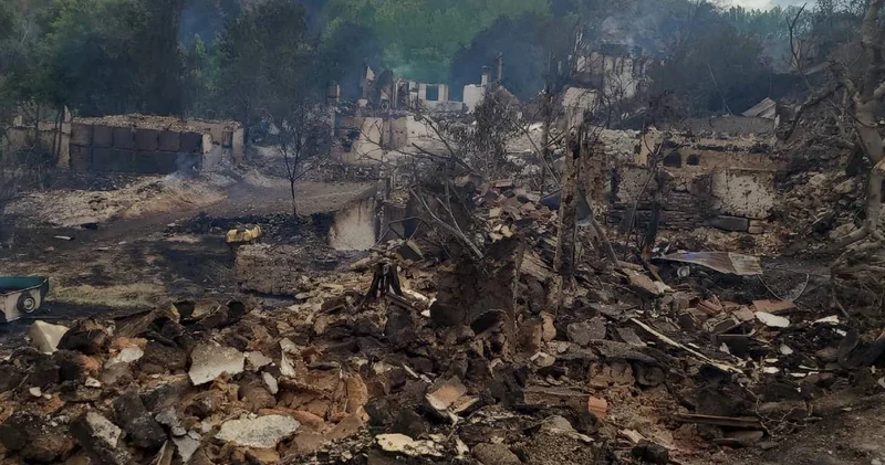 Orman yangınları sonrası bakanlıktan hasar raporu