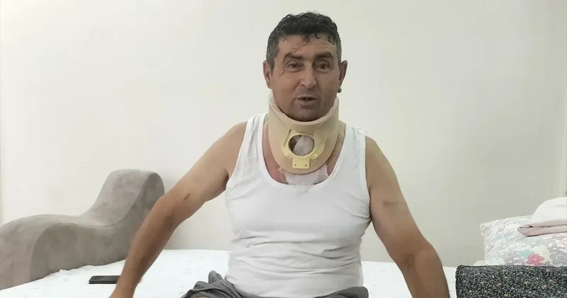 Aslan Saldırısı: Suçsuz Ben ve Aslan!