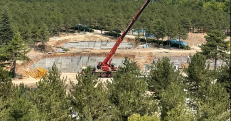 Orman müdürlüğü ormanı katlediyor Sözcü Gazetesi