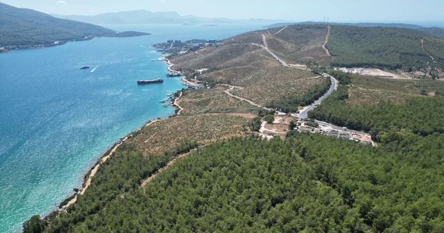 Bodrum Güvercinlik te 4 yıl önce yanan alanlar dikilen fidanlarla yeşeriyor Muğla Haberleri