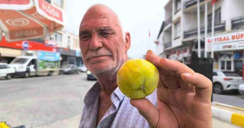 İncir artık taneyle satılıyor!