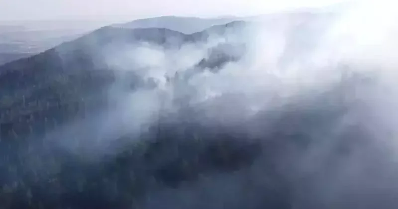 Çankırı Yapraklı’da da meydana gelen yangın kontrol altına alındı