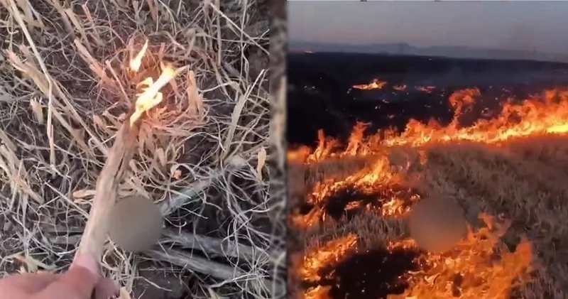 ‘Koskoca tarlayı çubukla yaktık’ diyerek paylaştı gözaltına alındı