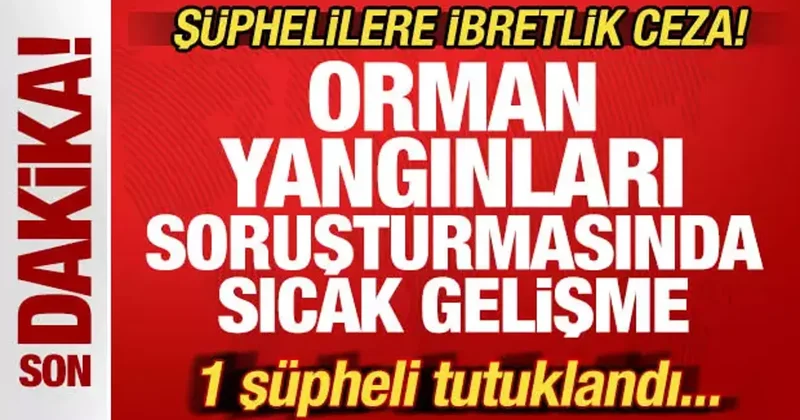 Son dakika: Bursa da havai fişekle ormanı yakanlara ibretlik ceza! 1 kişi tutuklandı...