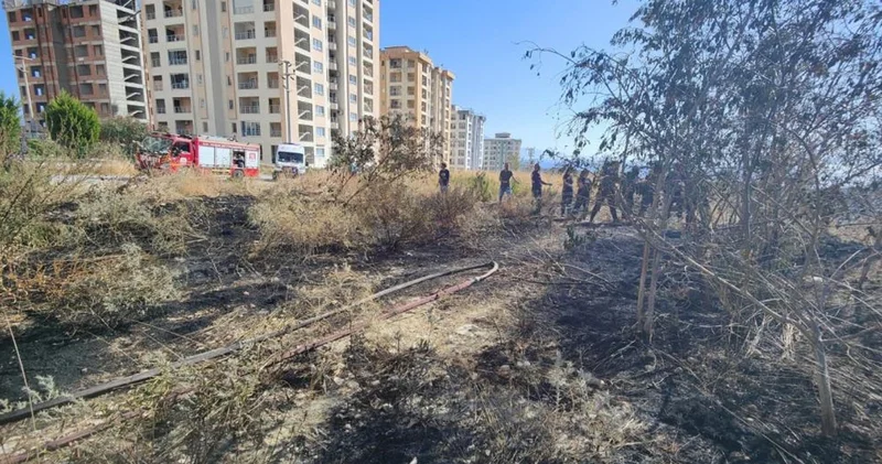 Patlıcan közlerken uçurumdan yuvarlanan şahıs kabusu yaşadı