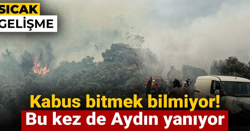 Kabus bitmek bilmiyor! Bu kez de Aydın yanıyor