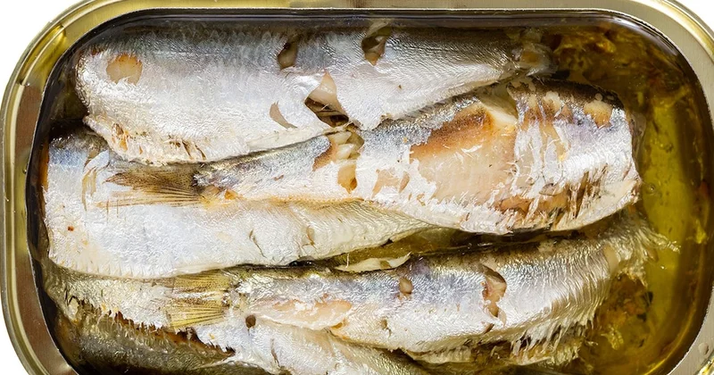 Levrek ve çipurayı solladı: D vitamini ve Omega 3 en çok o balıkta var Sözcü Gazetesi