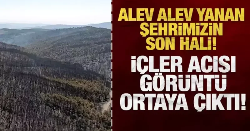 Günlerdir alev alev yanan şehrimizin son hali: İçler acısı görüntü ortaya çıktı!