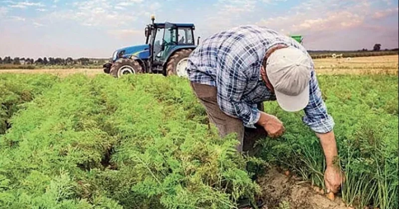 Çiftçiye bir darbe de Tarım Kredi’den Sözcü Gazetesi