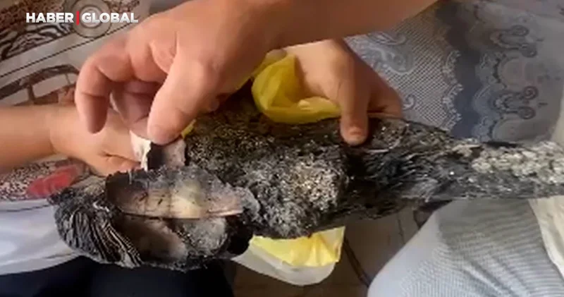 Antalya daki yangında depoda sakladıkları 90 bin TL kül oldu: Merkez Bankası na başvurdular