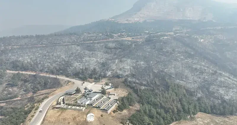 Bursa’da yanan ormanlar dronla görüntülendi; soğutma çalışmaları sürüyor
