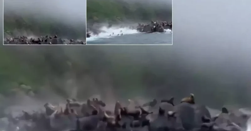 Rusya daki 8.8 lik deprem sonrası korku filmlerini andıran görüntü