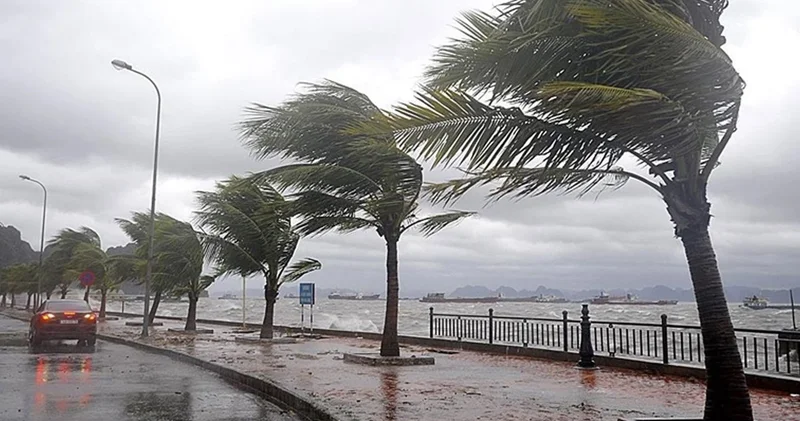 Tayland ı Wipha fırtınası vurdu: 7 ölü, 143 yaralı