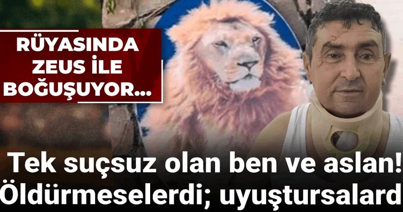 Aslanla boğuşan çiftçi günler sonra konuştu: Öldürmeselerdi, uyuştursalardı...