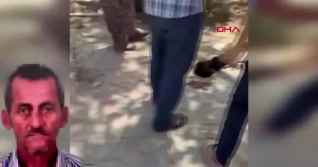 İzmir’de 10 köpek ve 5 kediyi zehirli etle katletti! Katliama çocukları da alet etmiş