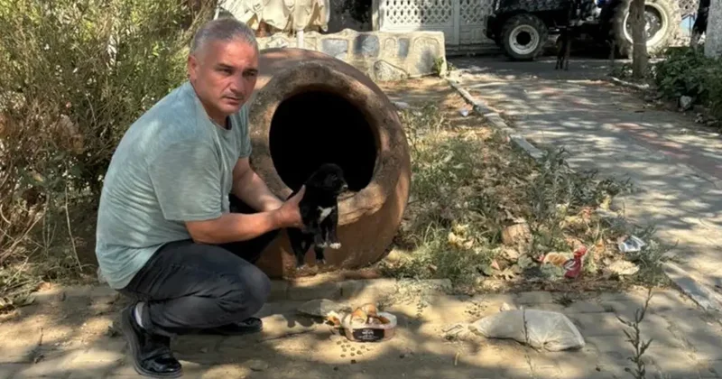 Hain planında çocukları kullanan vicdansız hayvanları zehirleyerek öldürdü