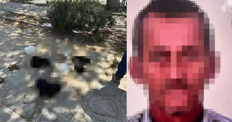 10 köpek ile 5 kedinin öldüğü olayda, şüpheli, etleri çocuklara dağıttırmış